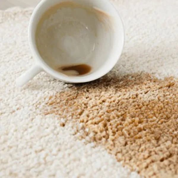 Area Rugs Spills