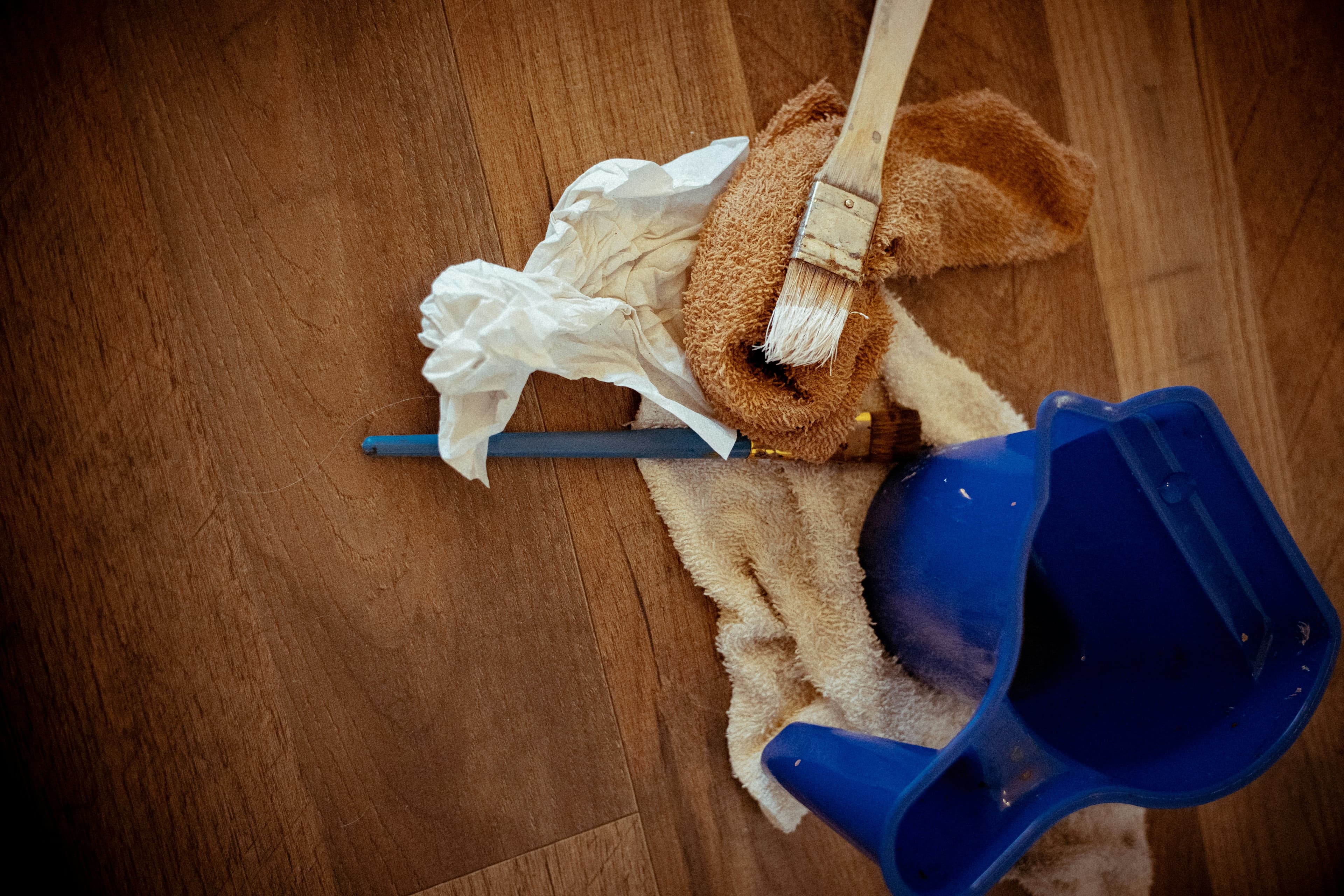 Area Rugs Stains