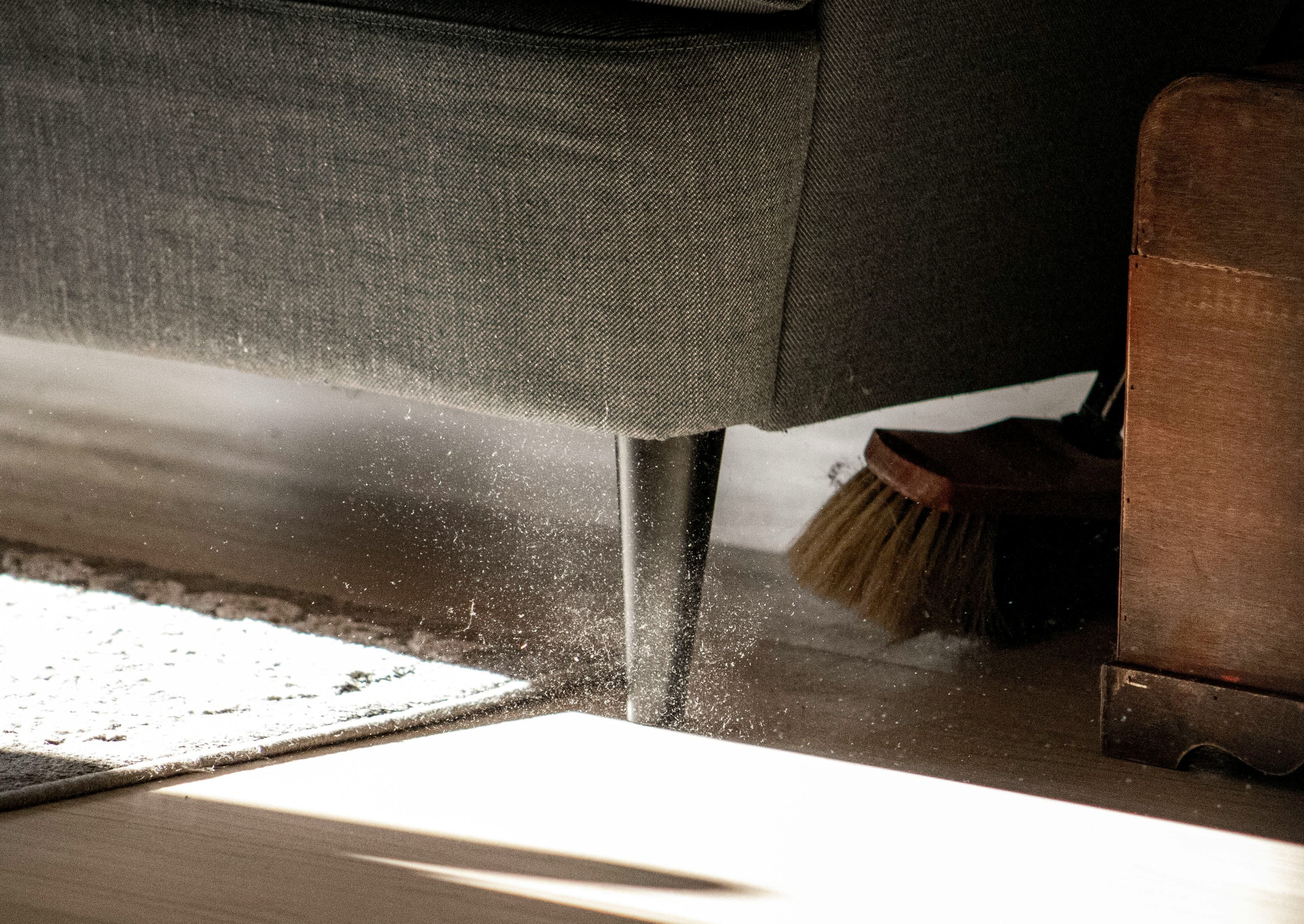 Area Rugs routine care