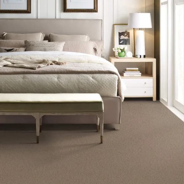 Carpet shown in a comfortable home setting.