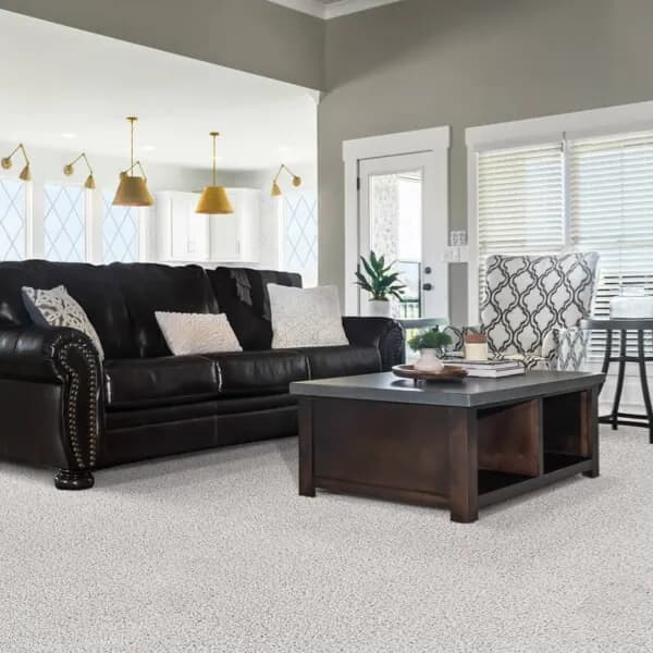 Carpet flooring in a residential room.