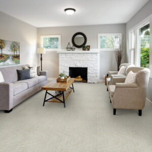 Gray carpet in living room | Floorco Premium