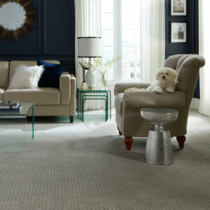 Gray carpet in living room with dog in a chair | Floorco Premium