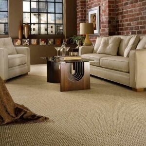 Neutral carpet in neutral living room | Floorco Premium