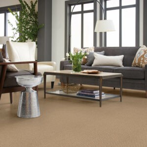 Neutral carpet in living room | Floorco Premium