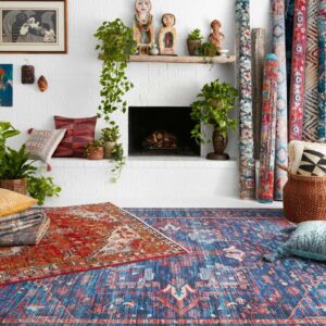 Area rug in living room | Floorco Premium